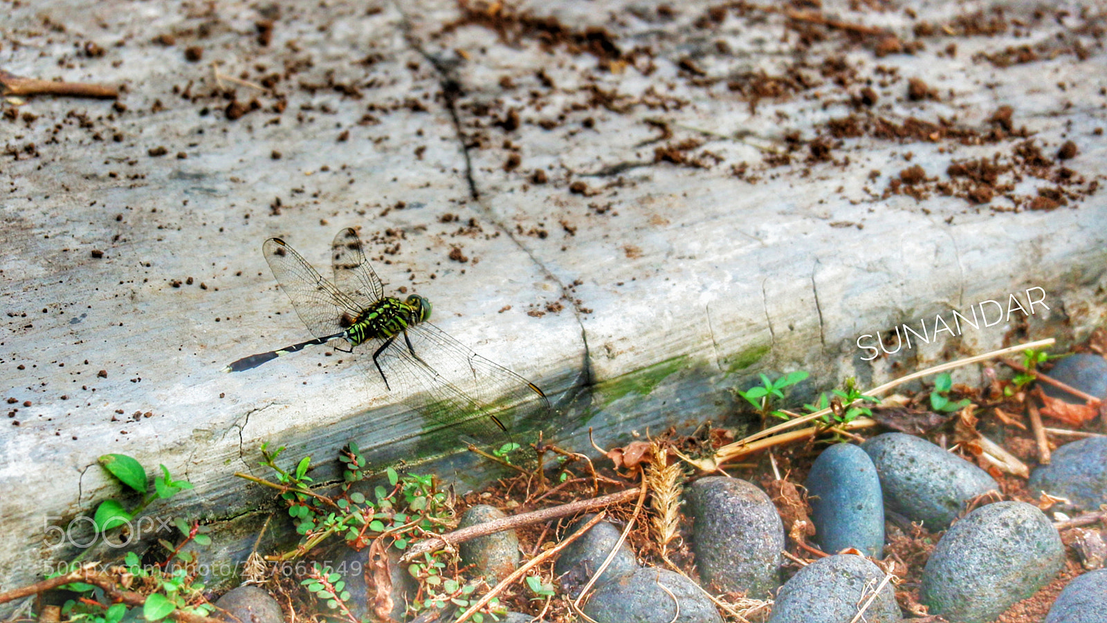 Canon EOS M10 sample photo. Fafatong photography