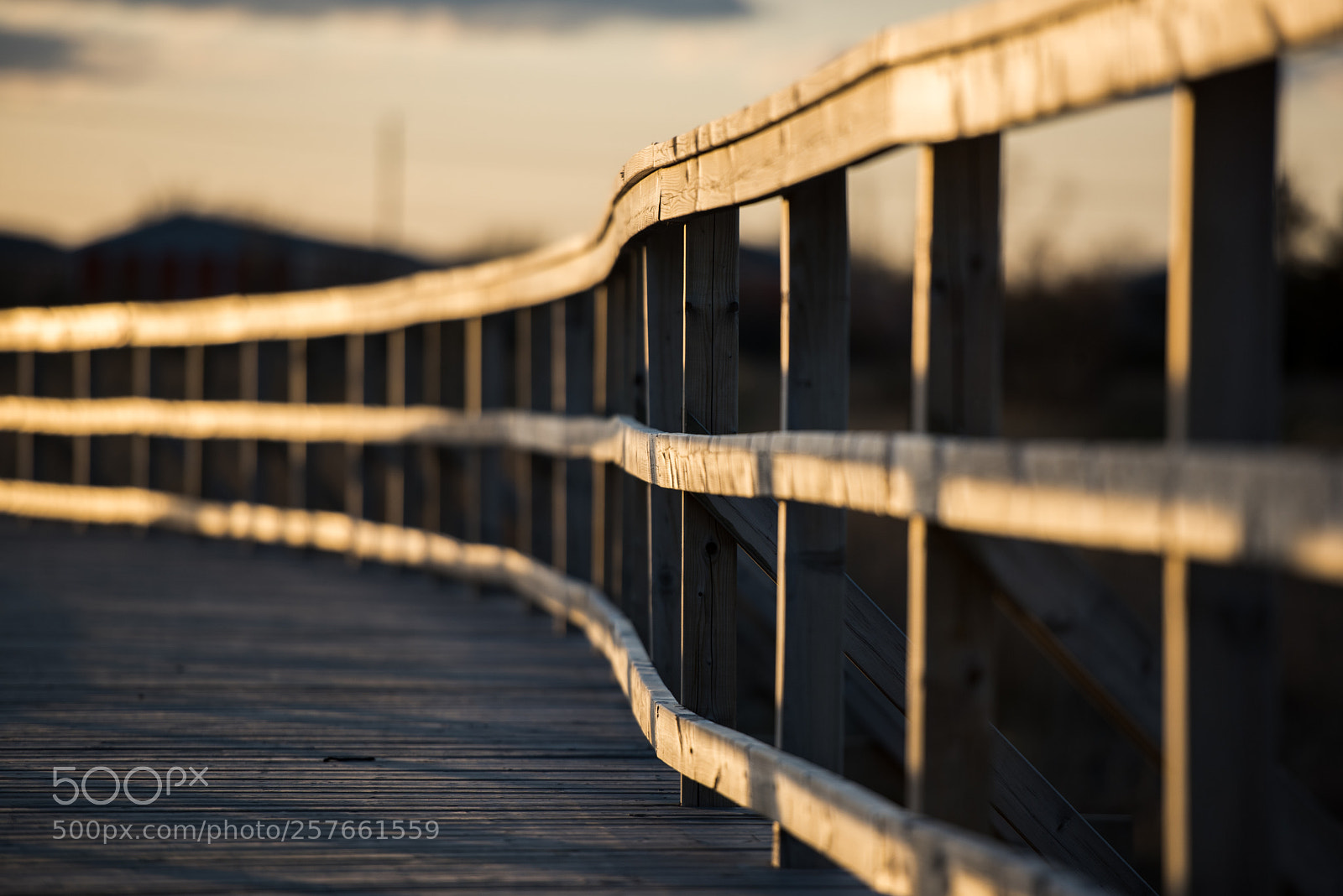 Nikon D810 sample photo. Boardwalk photography