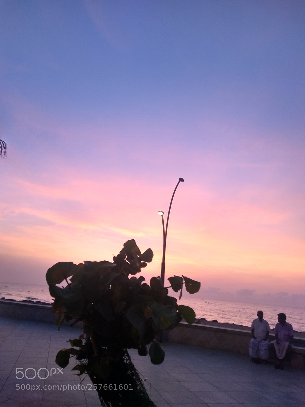 Motorola Moto G (5S) Plus sample photo. Untitled photography