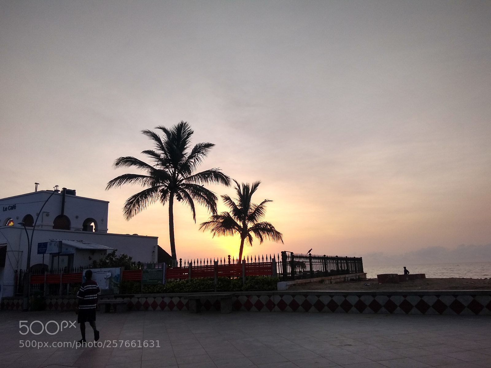 Motorola Moto G (5S) Plus sample photo. Untitled photography