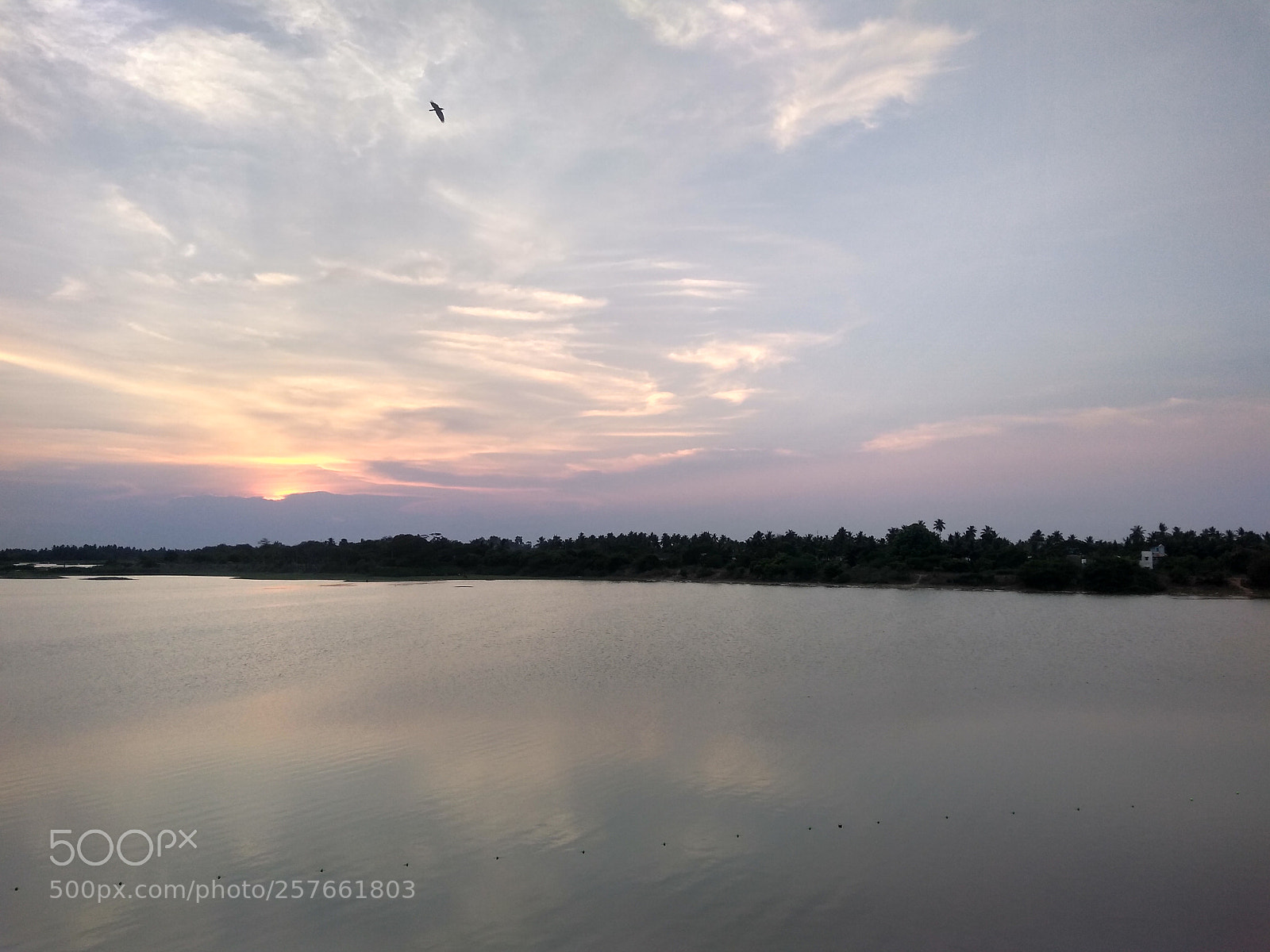 Motorola Moto G (5S) Plus sample photo. Untitled photography