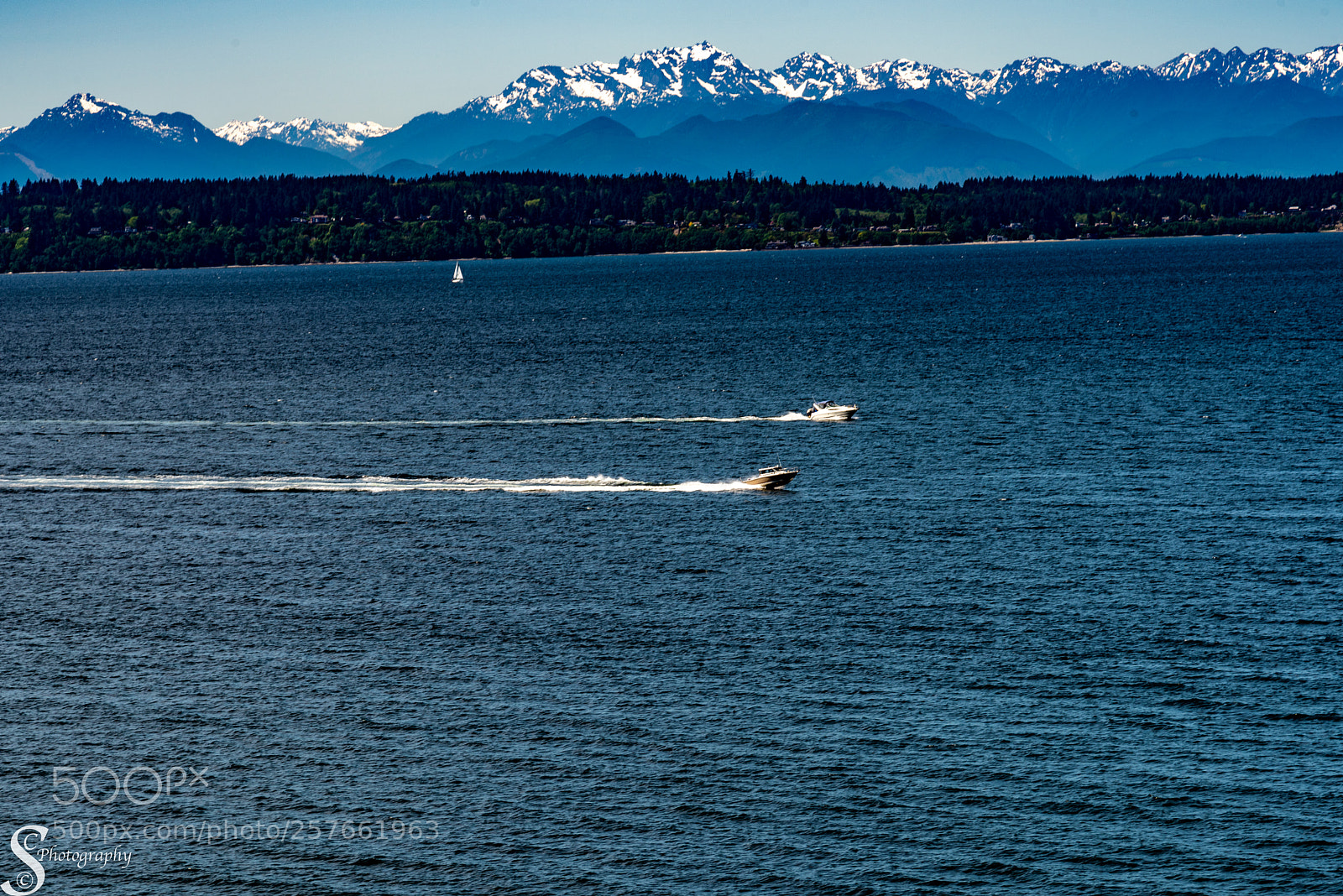 Nikon D810 sample photo. Olympic national park photography