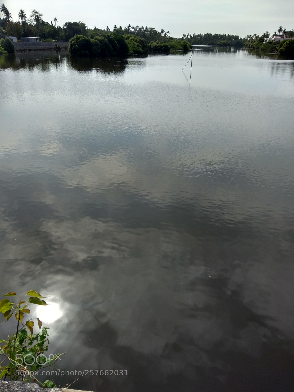 Motorola Moto G (5S) Plus sample photo. Untitled photography