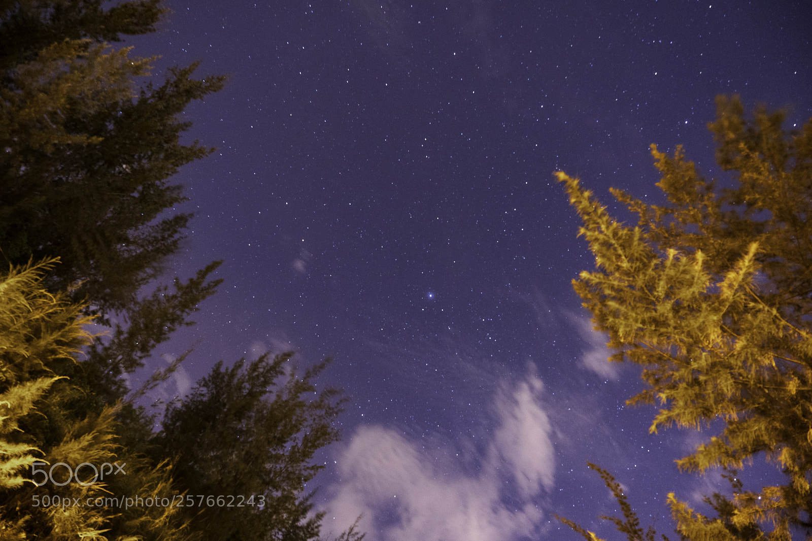 Sony a7 III sample photo. Night sky in son photography