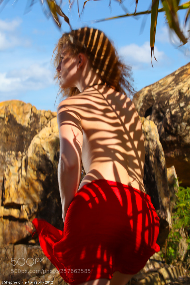 Canon EOS 5D Mark II sample photo. Untitled photography