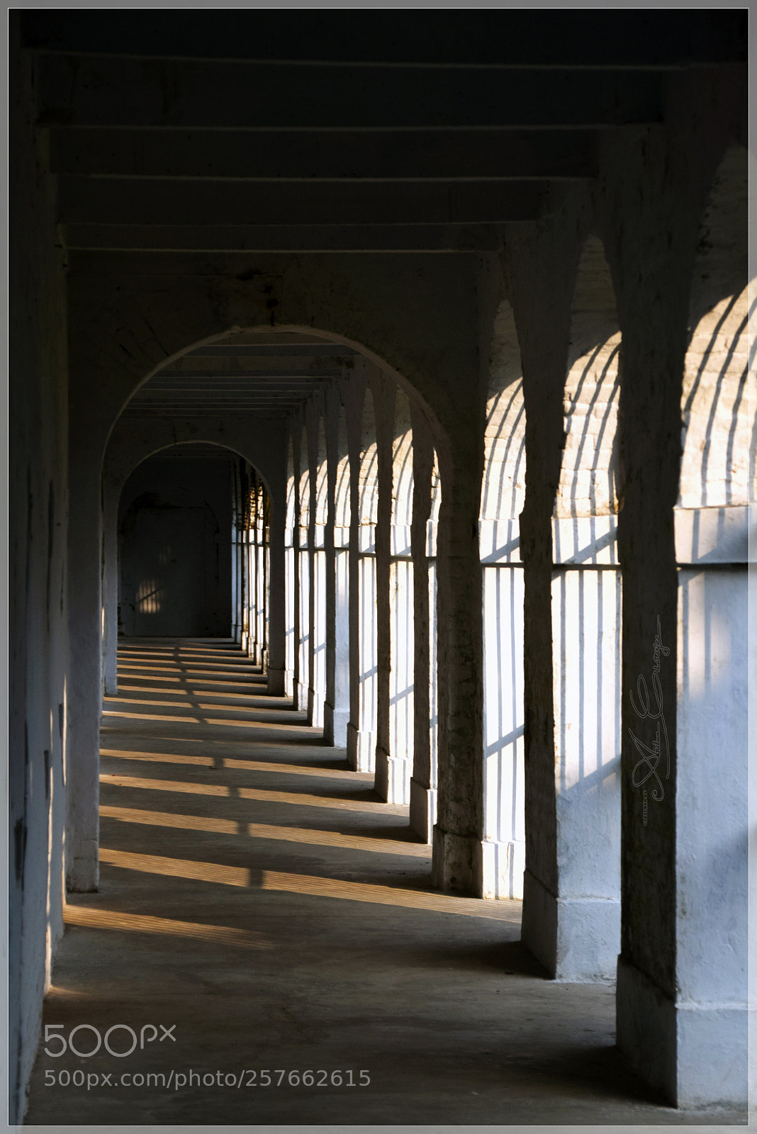 Nikon D3300 sample photo. Last rays of the photography