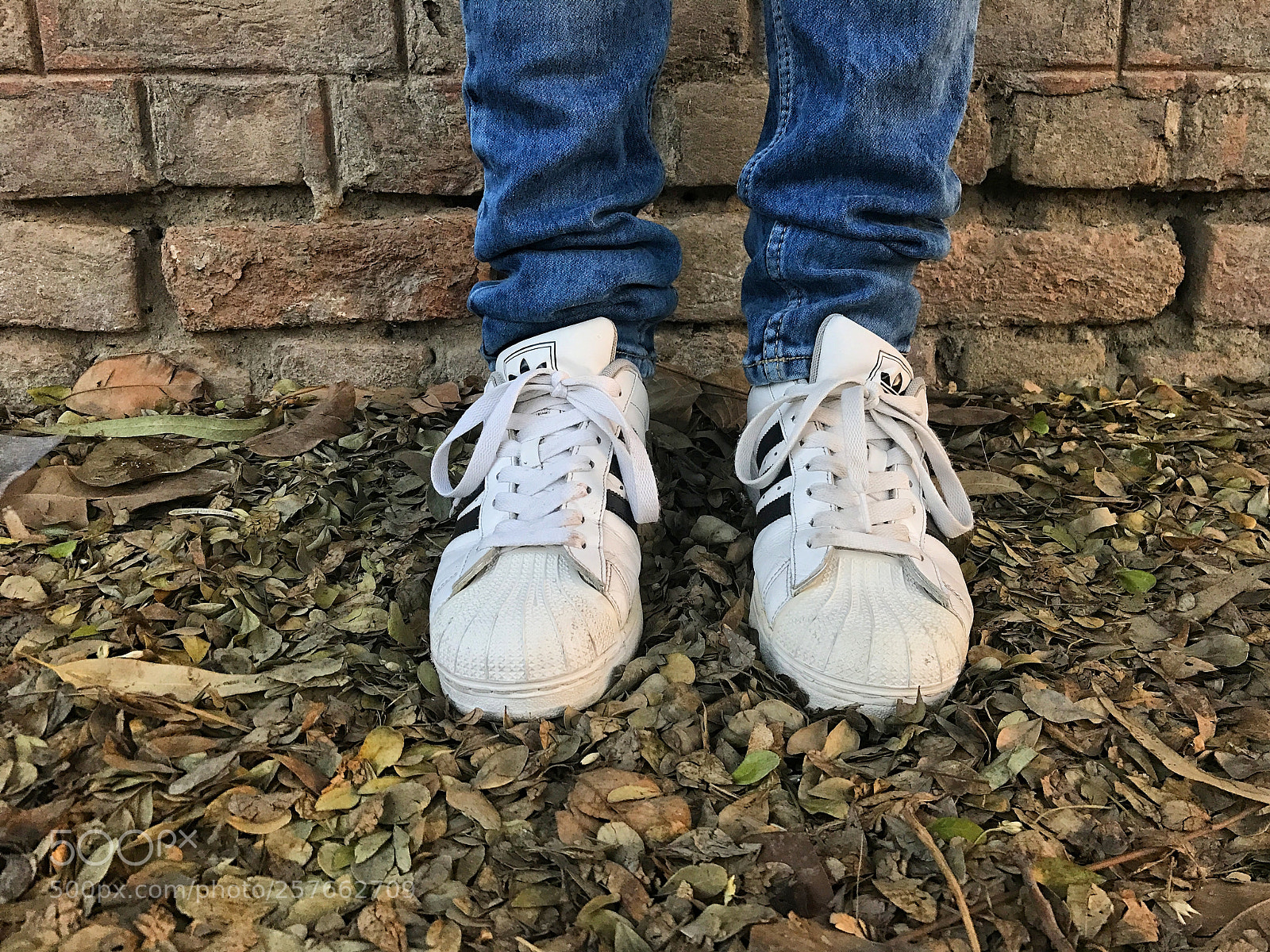 Apple iPhone 7 sample photo. Superstars photography