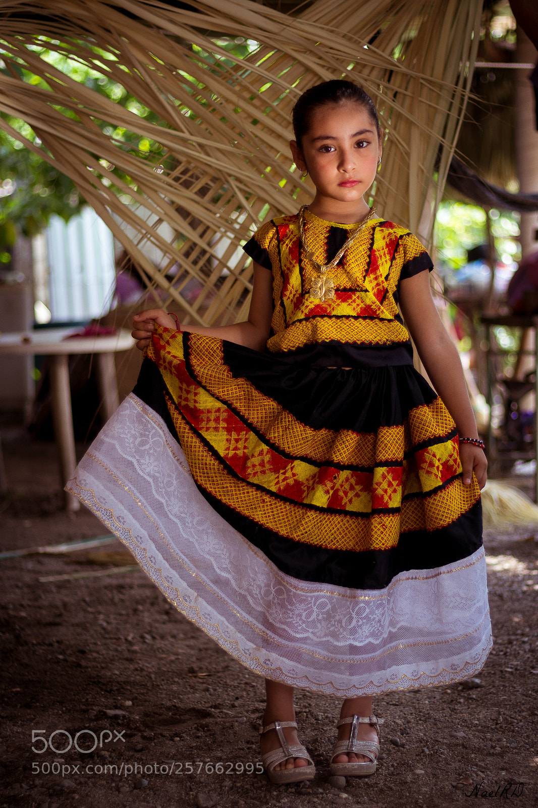 Canon EOS 700D (EOS Rebel T5i / EOS Kiss X7i) sample photo. Orgullo istme o desde photography