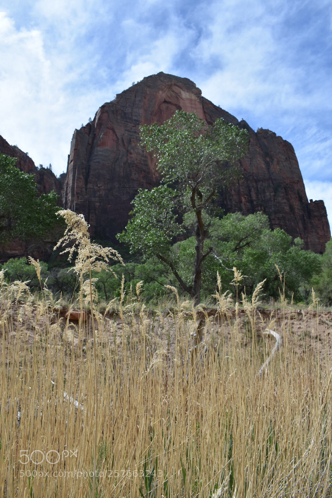 Nikon D3400 sample photo. The watchman  photography