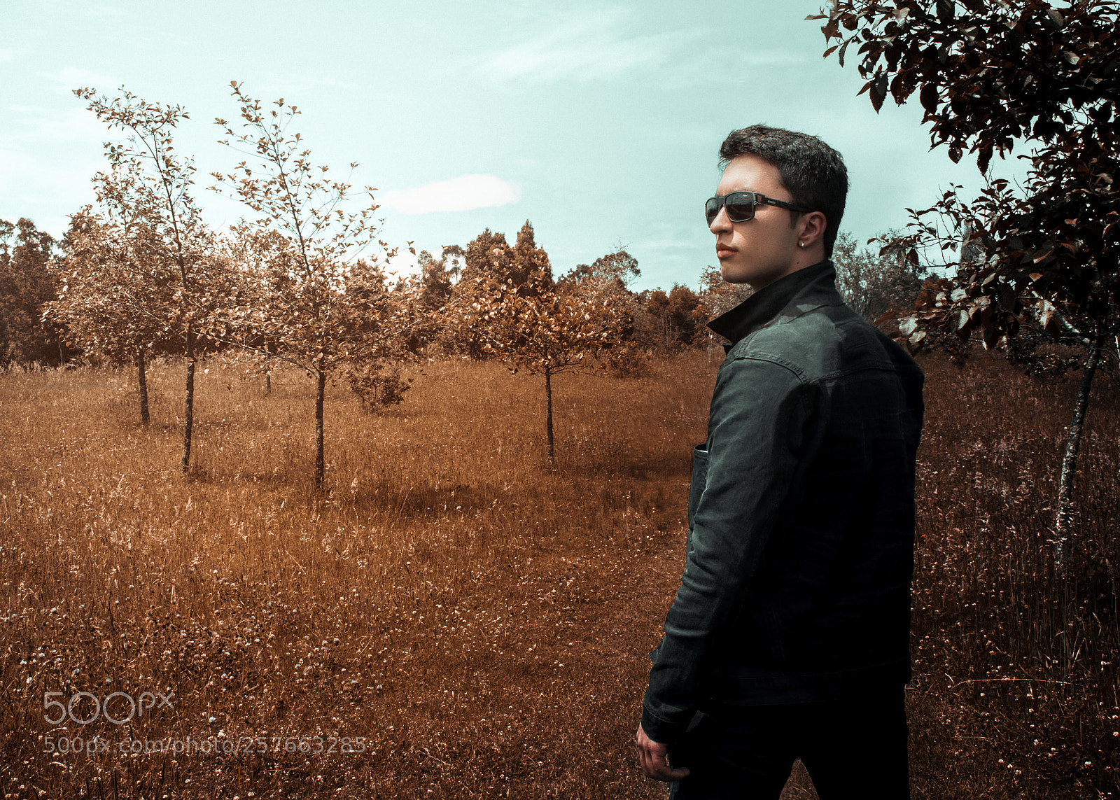Nikon D5300 sample photo. Gabo photography