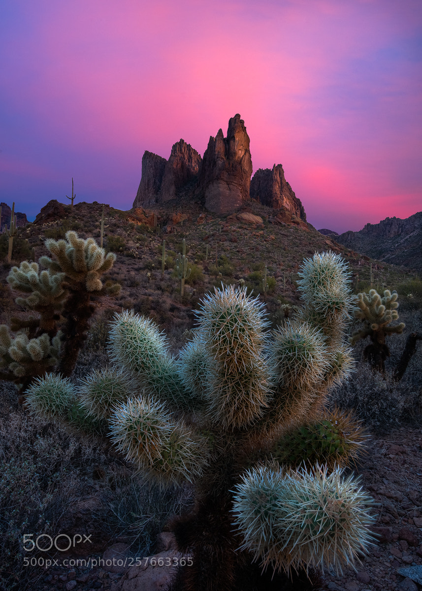 Sony a7R II sample photo. Superstition sunrise photography