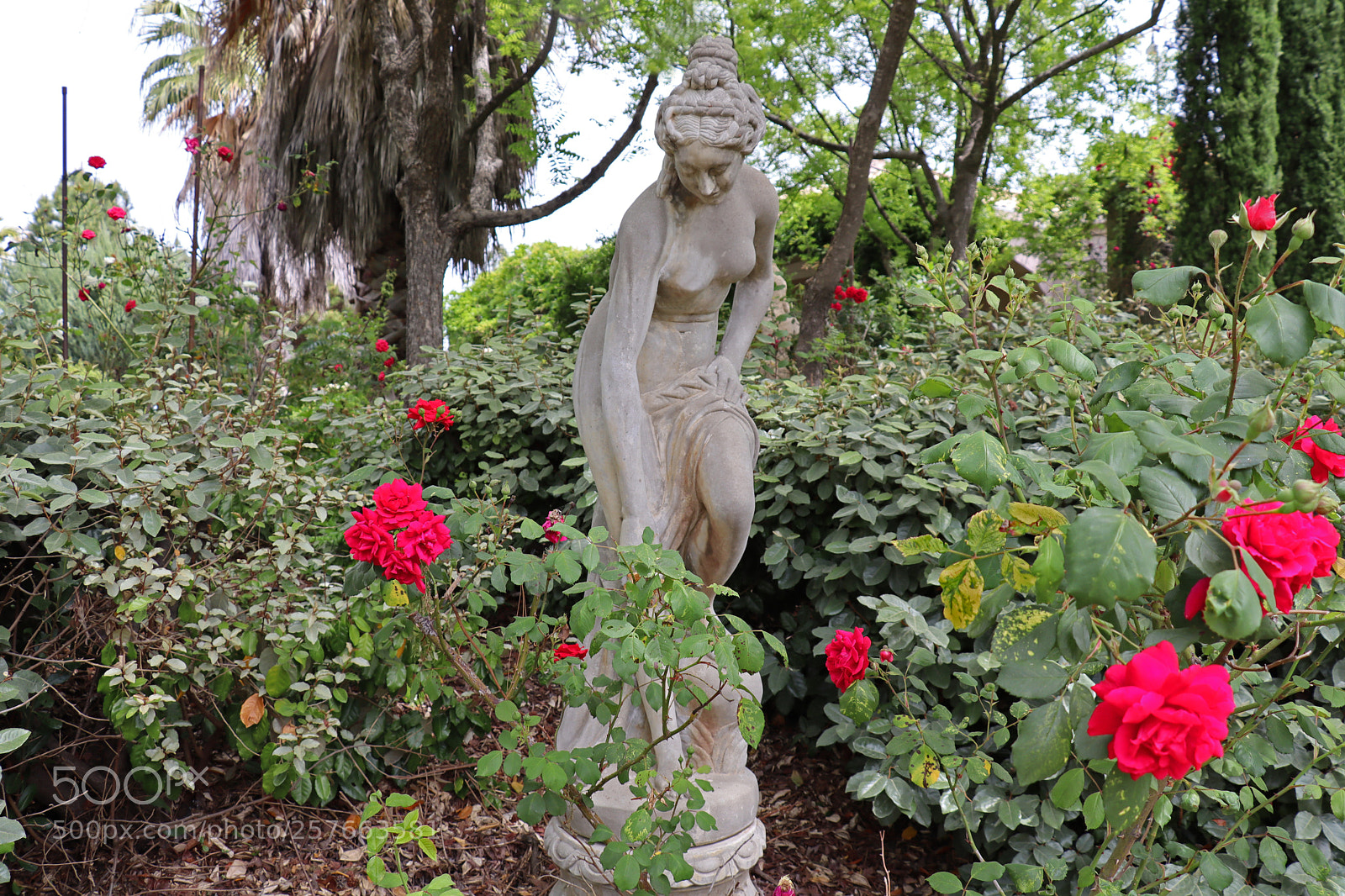 Canon EOS M50 (EOS Kiss M) sample photo. The bather in the photography