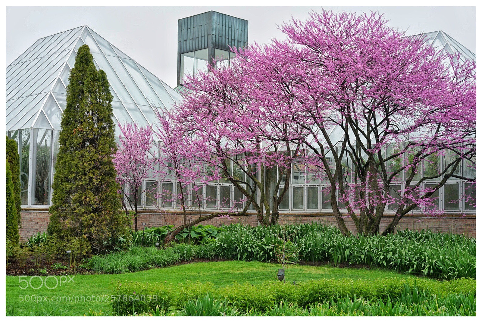 Sony a7 II sample photo. Green house photography