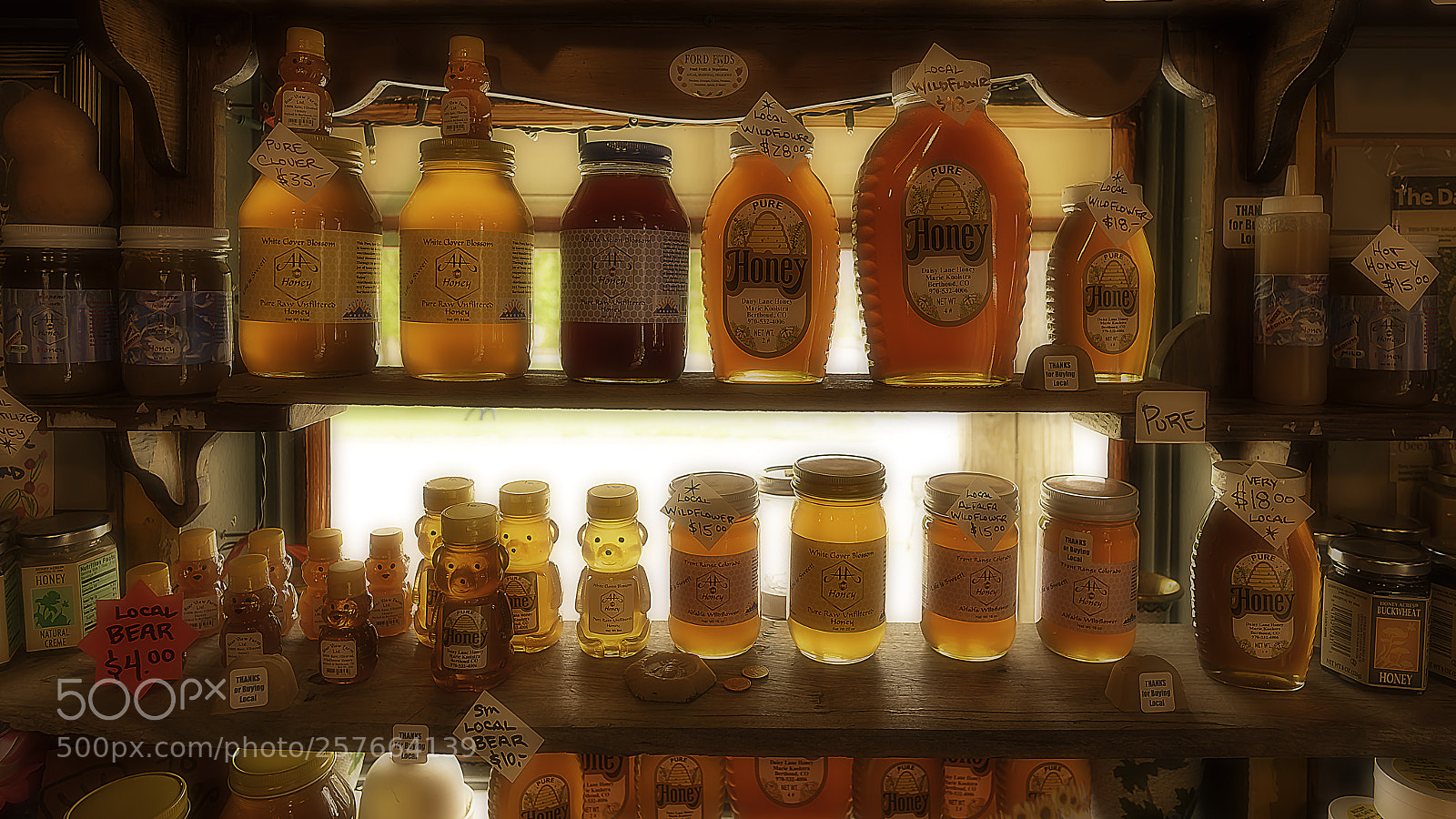 Nikon D810 sample photo. Honey, honey, honey photography