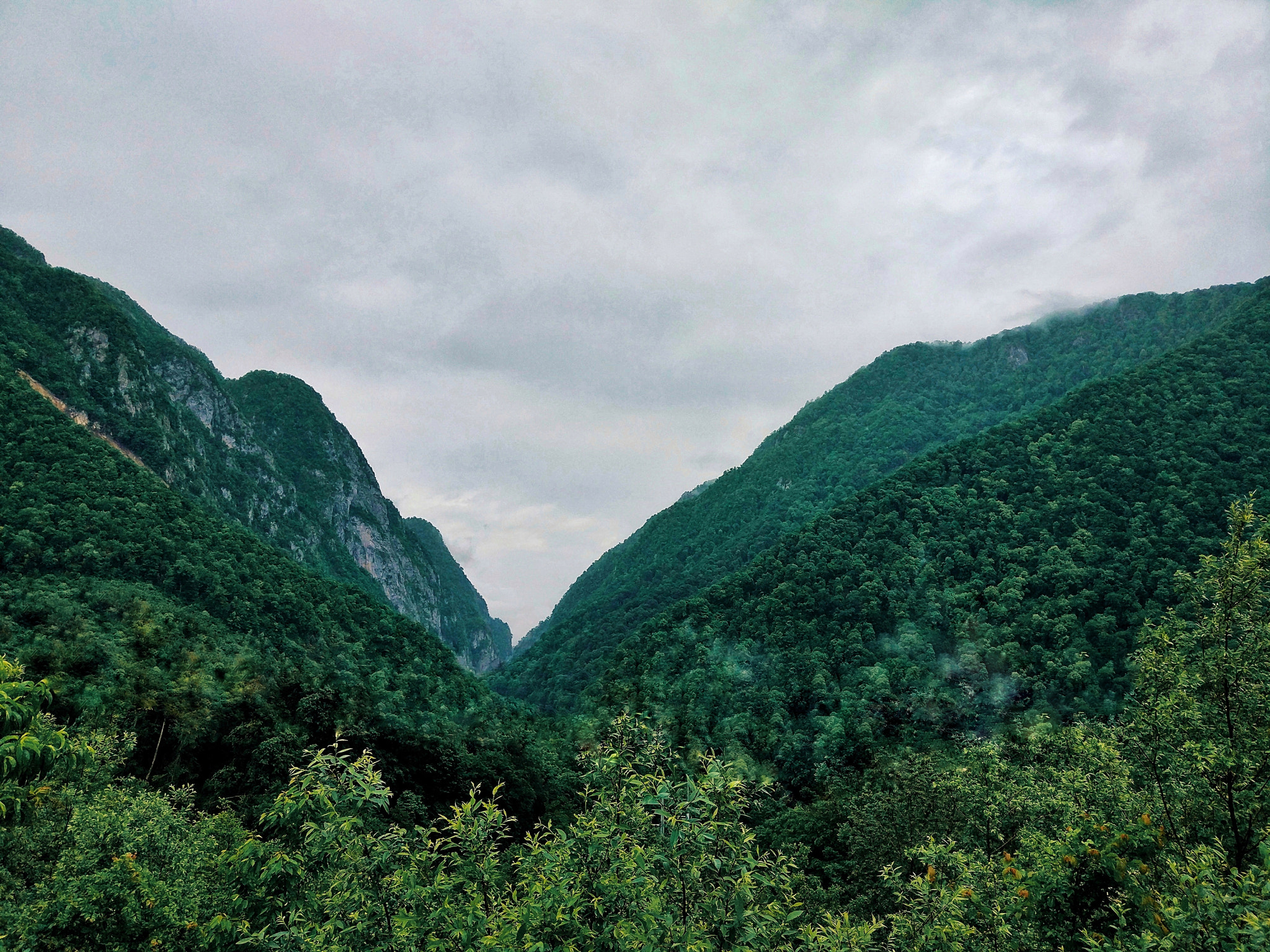 Xiaomi MI 5s sample photo. Peace photography