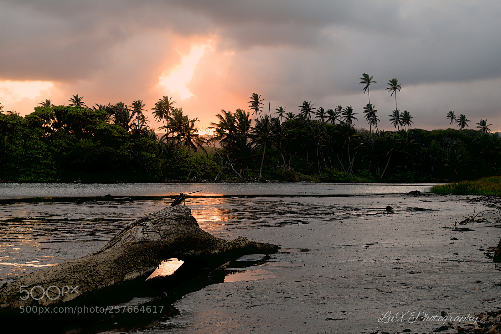 Nikon D3300 sample photo. Micoud at dusk photography