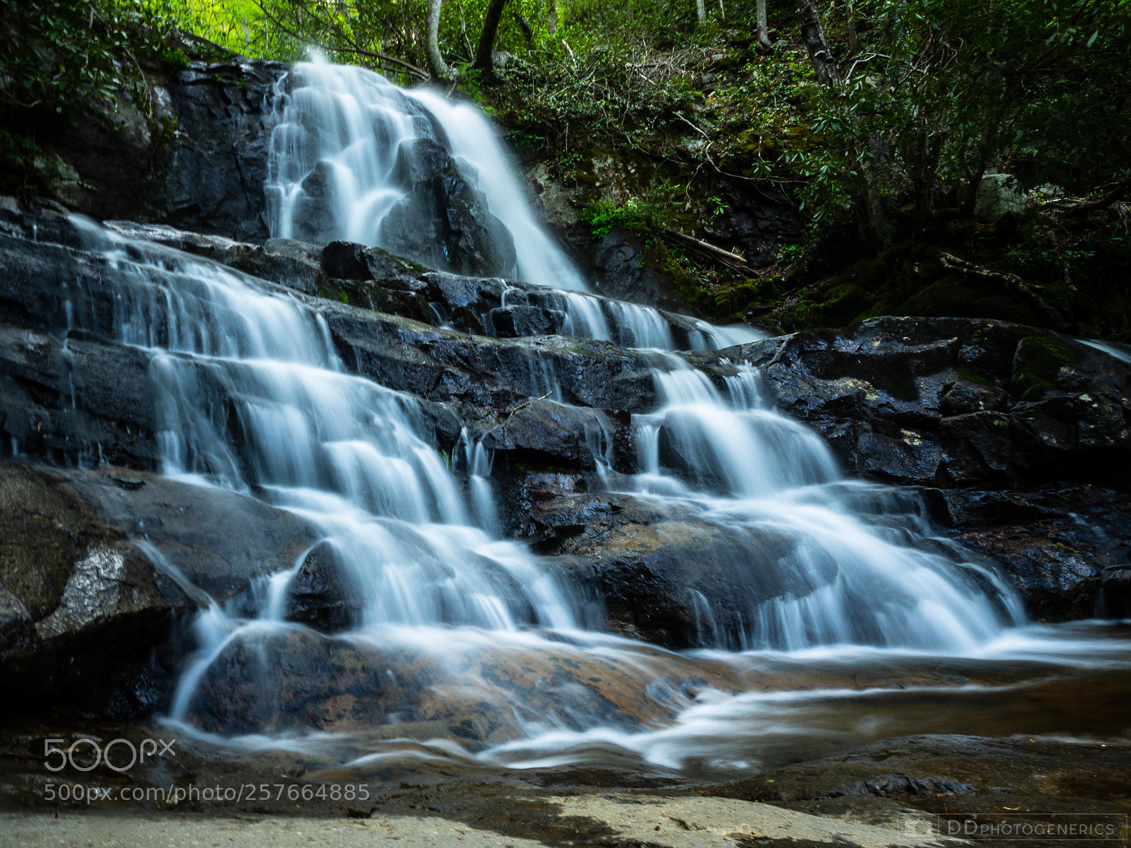 Olympus OM-D E-M1 sample photo. Laurel falls -upper photography
