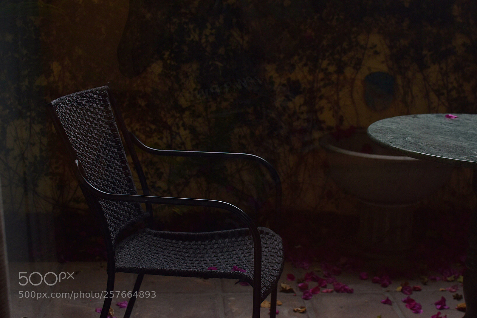 Nikon D5600 sample photo. “we need to talk”  photography