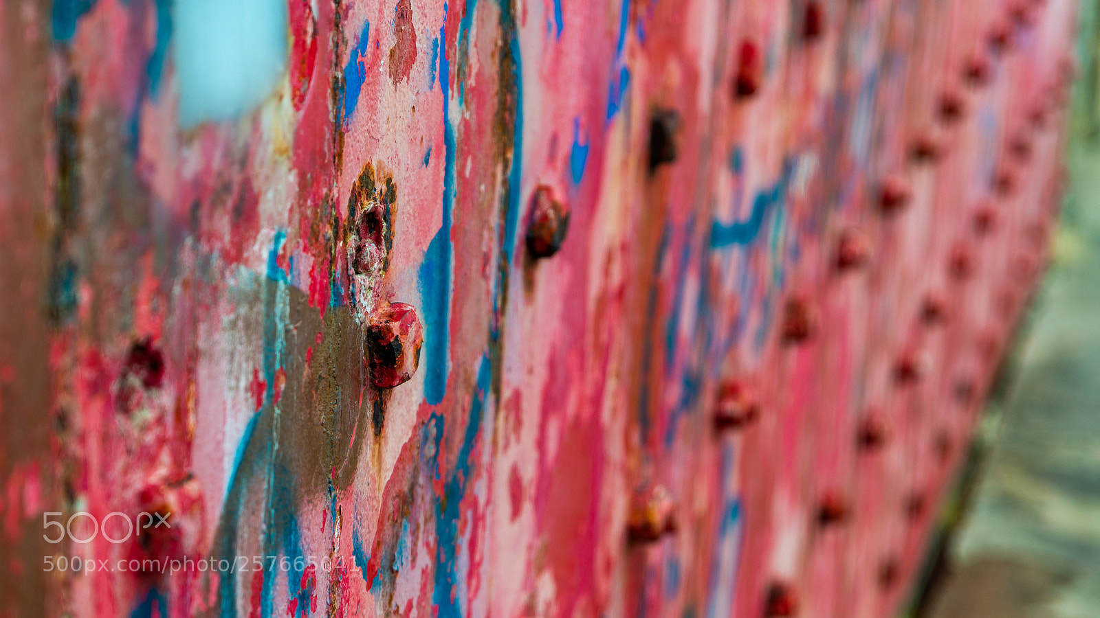 Nikon D800 sample photo. Big red photography