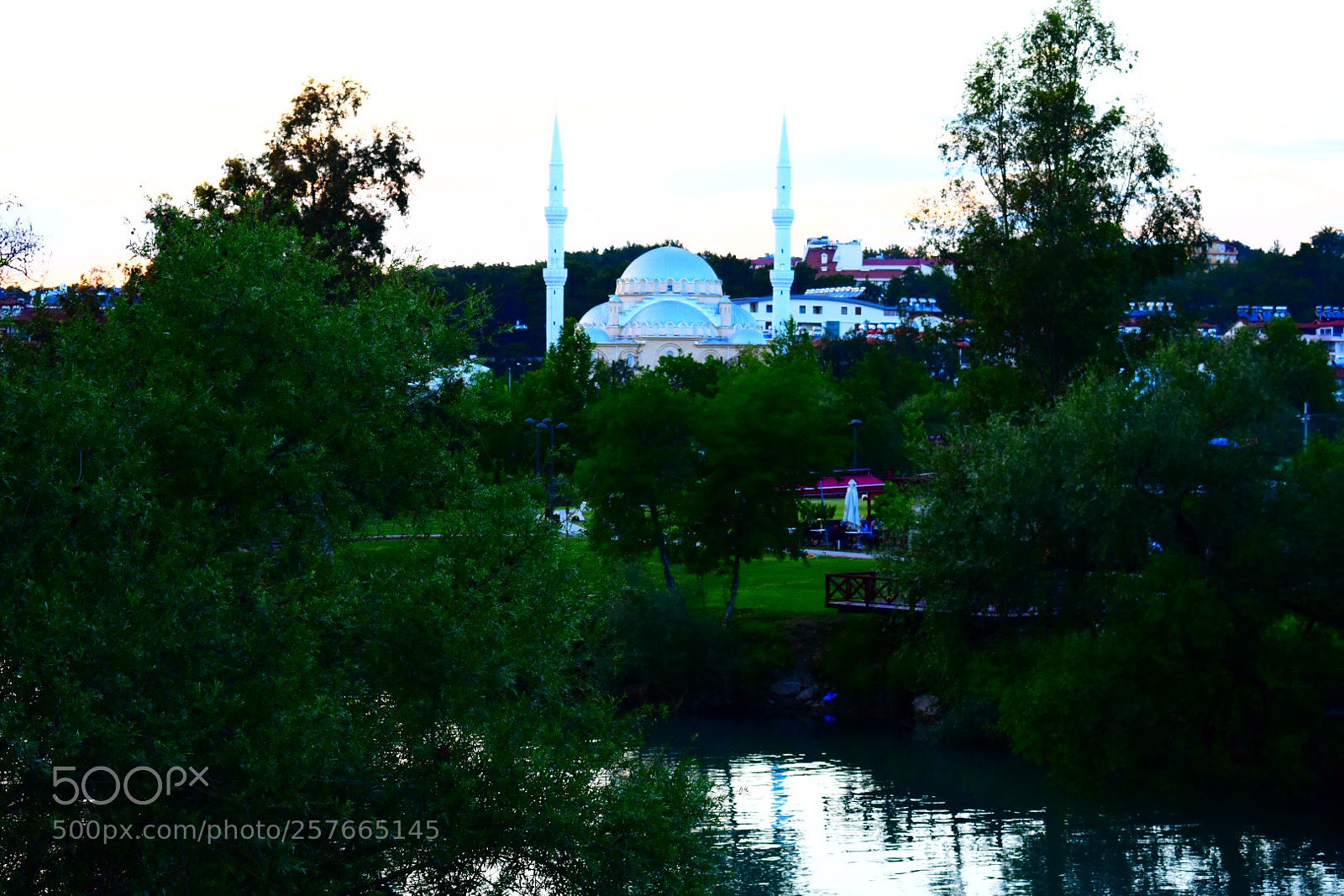 Nikon D3400 sample photo. Untitled photography