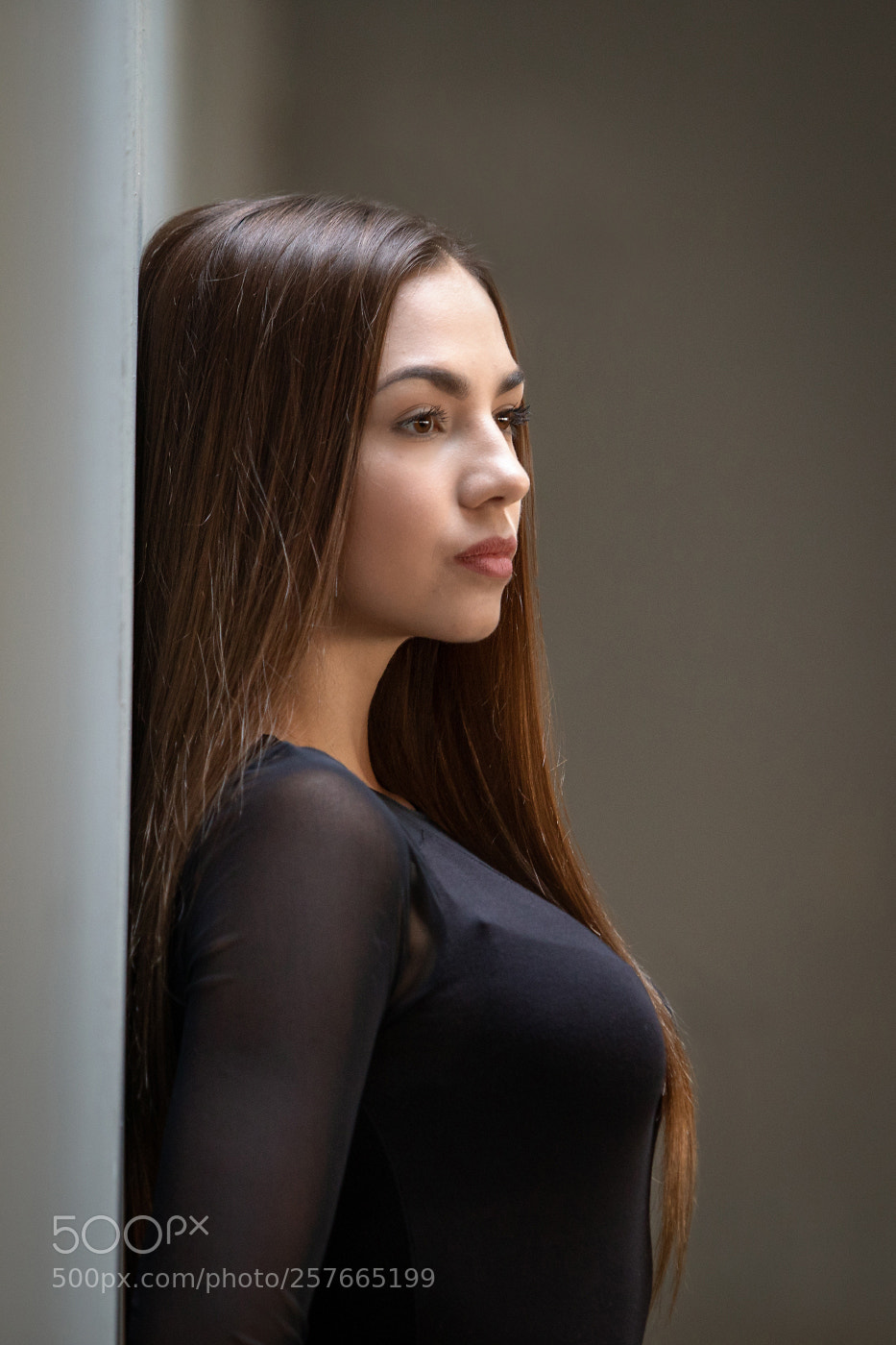 Canon EOS 5D Mark IV sample photo. Anet photography