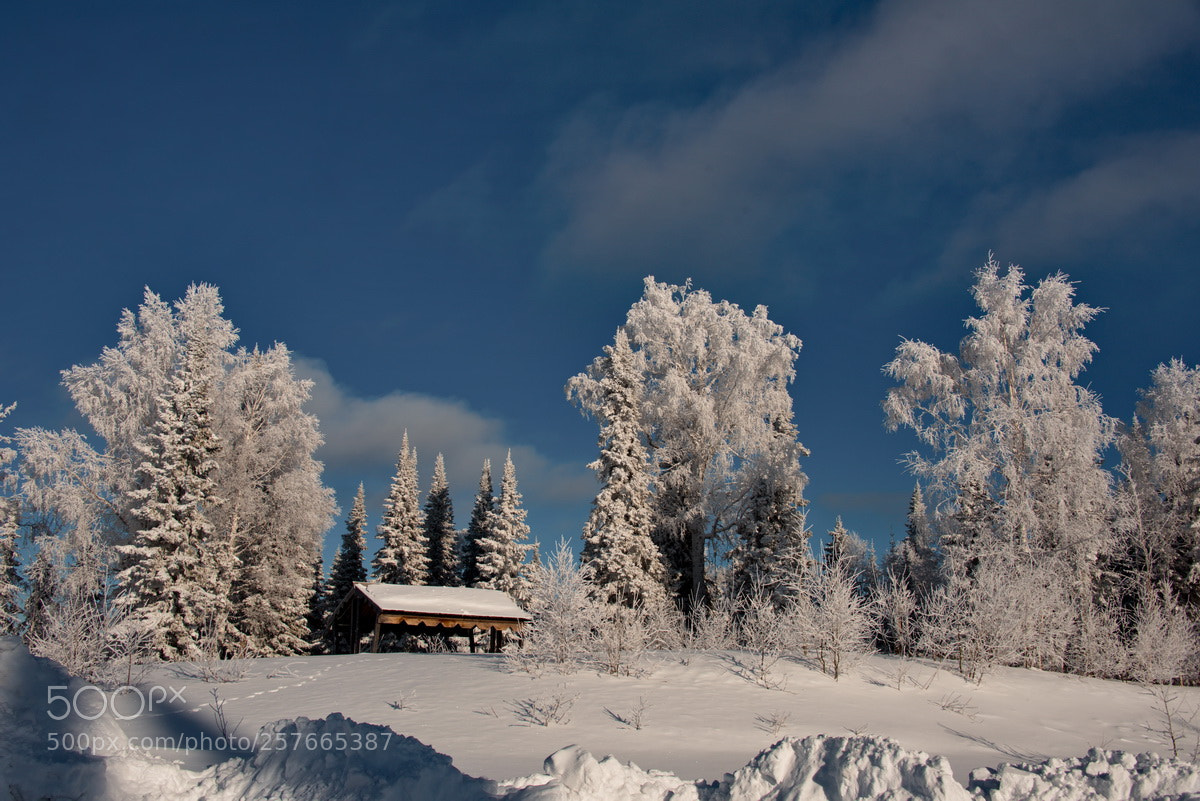 Nikon D750 sample photo. Russia. the south of photography