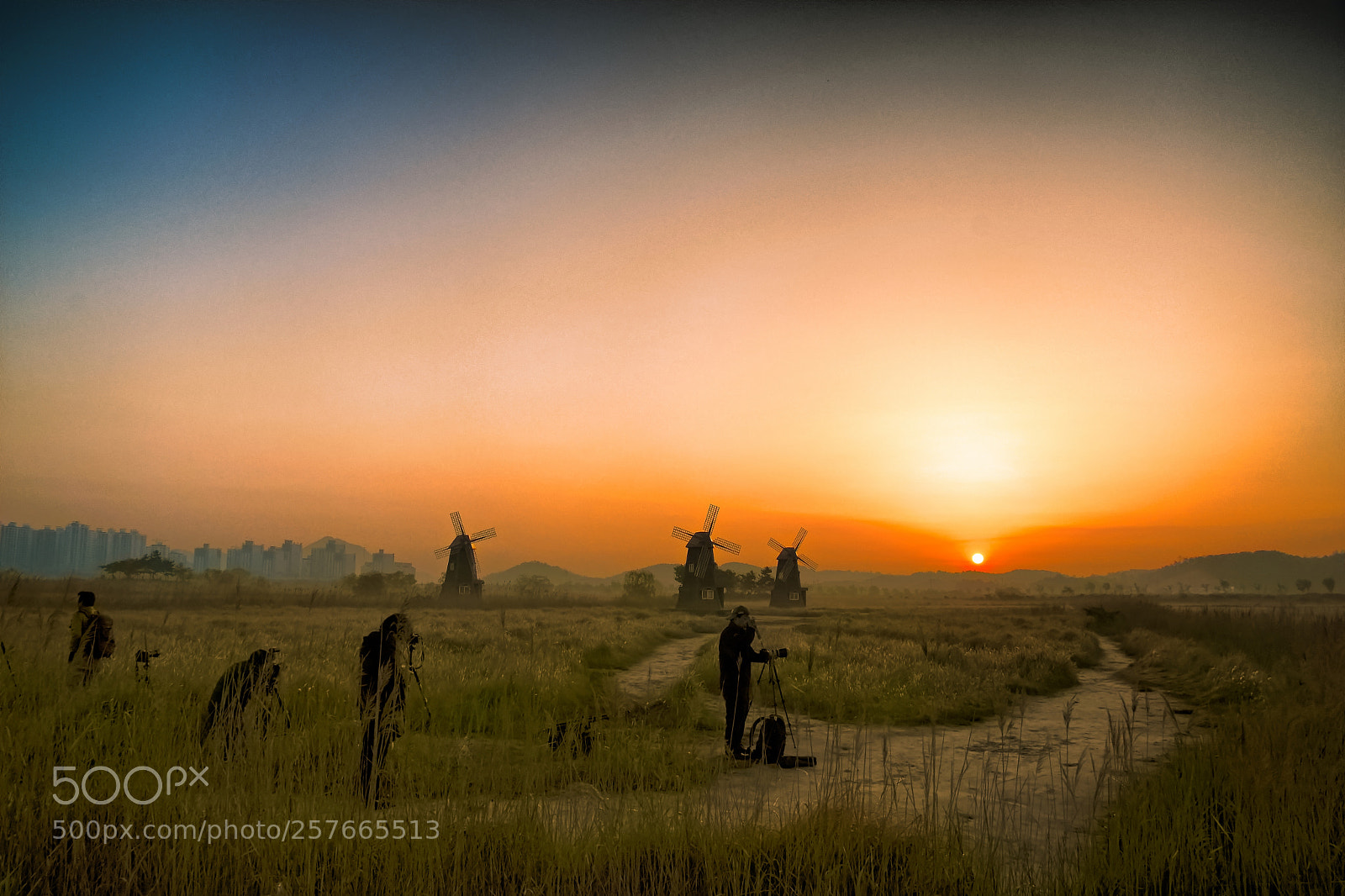 Nikon D500 sample photo. Morning in the wetlands photography