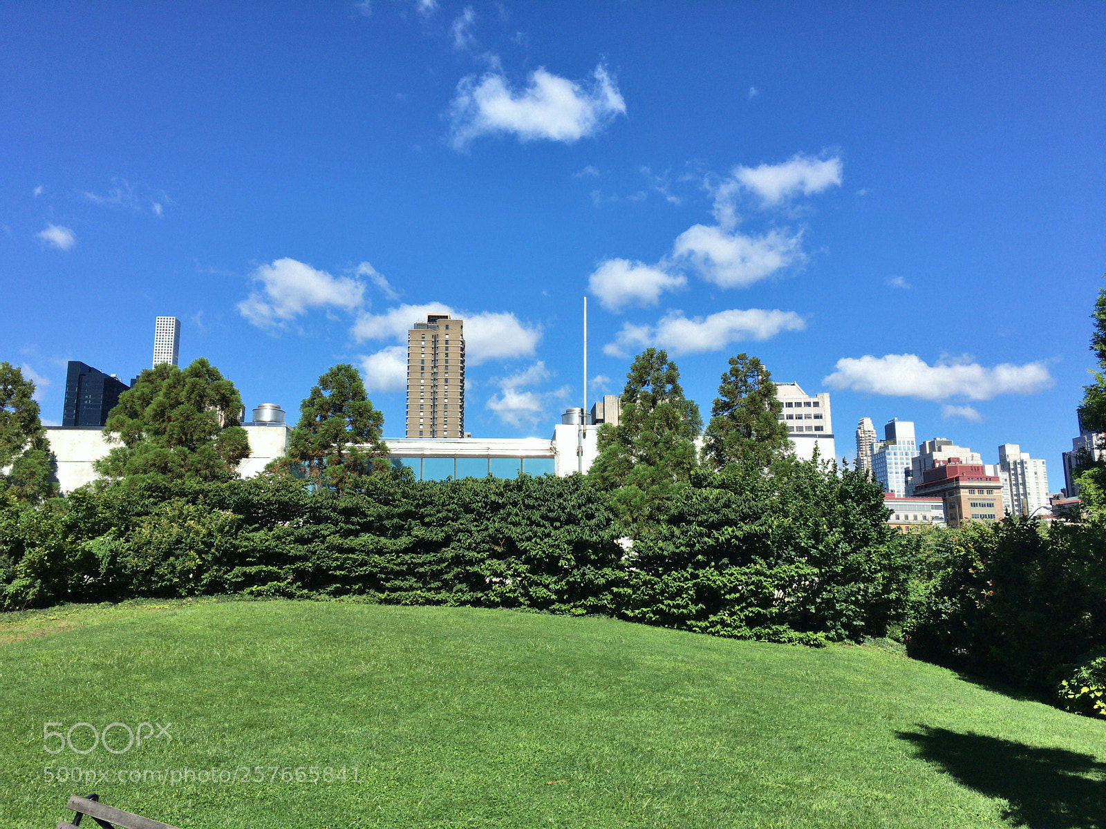 Apple iPhone 6s Plus sample photo. Roosevelt island photography