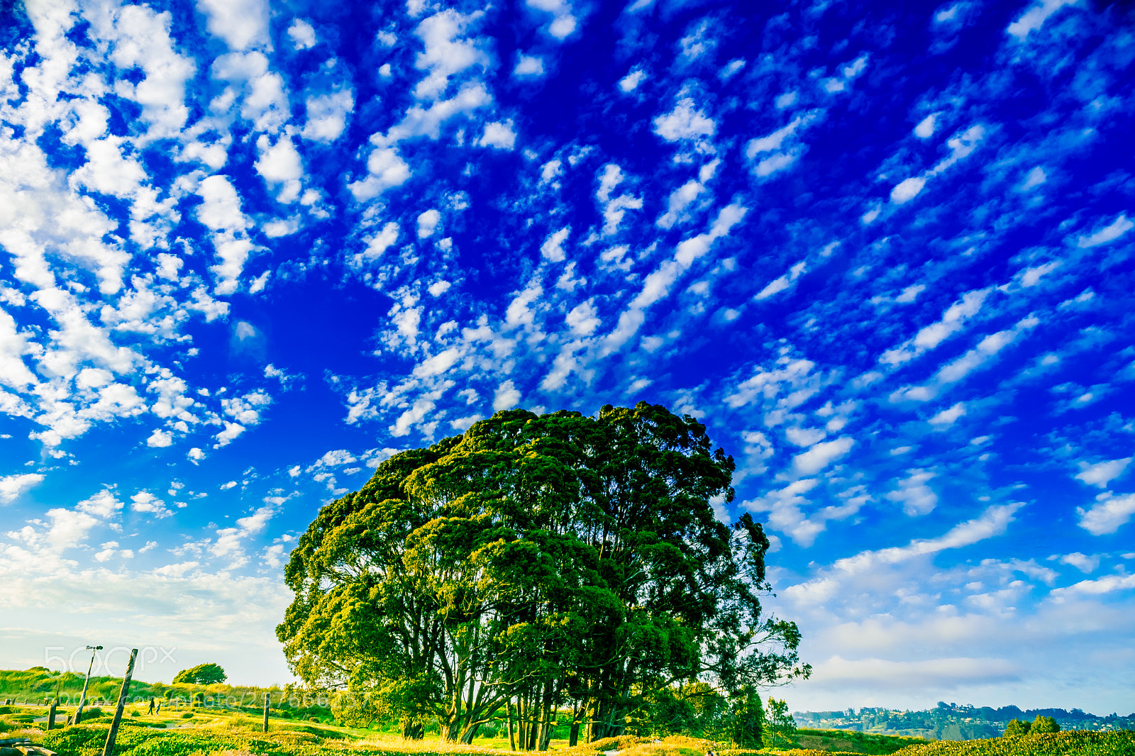 Nikon D3300 sample photo. The sky has something photography