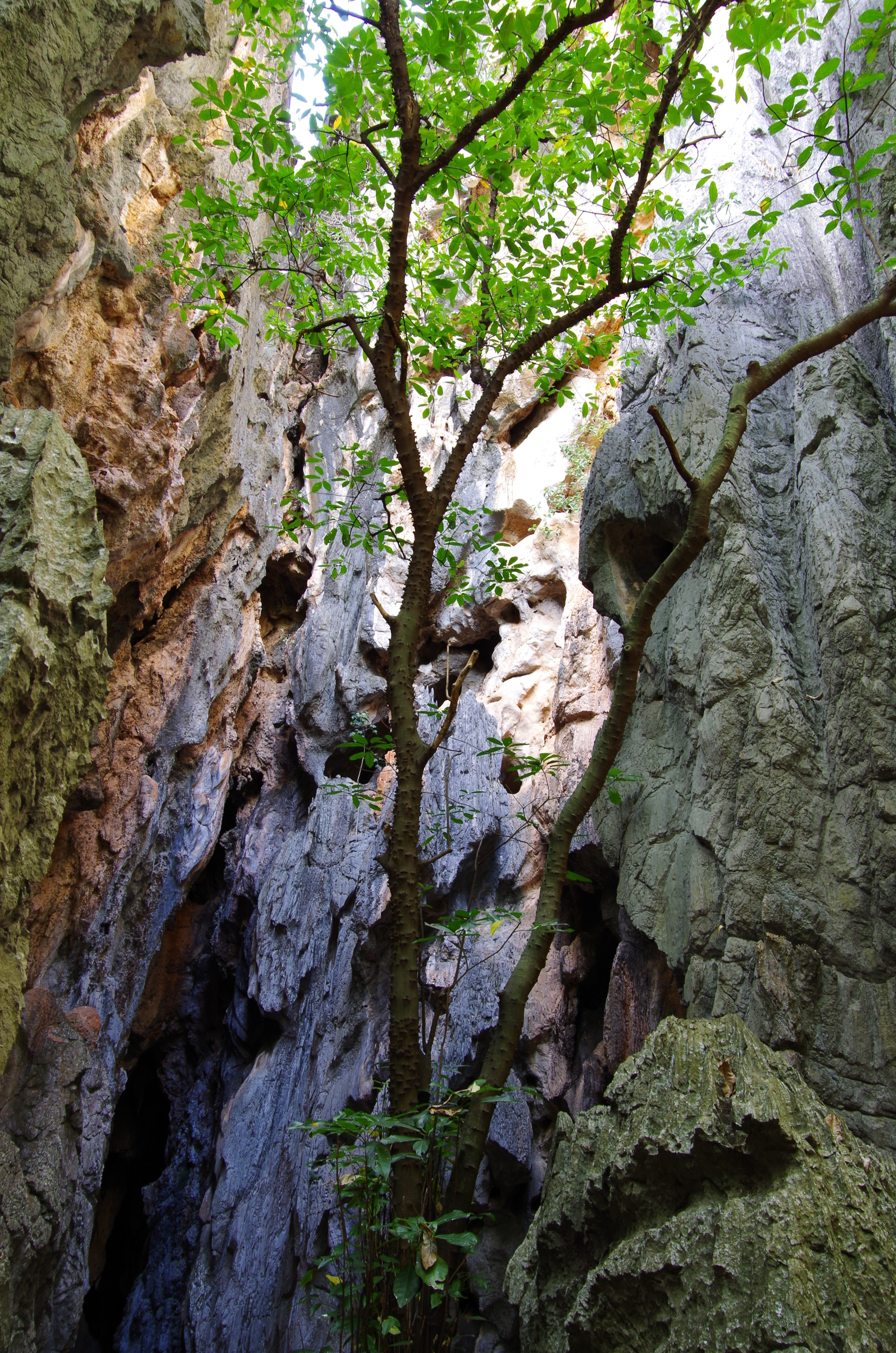 Pentax K-30 sample photo. Chillagoe cave photography