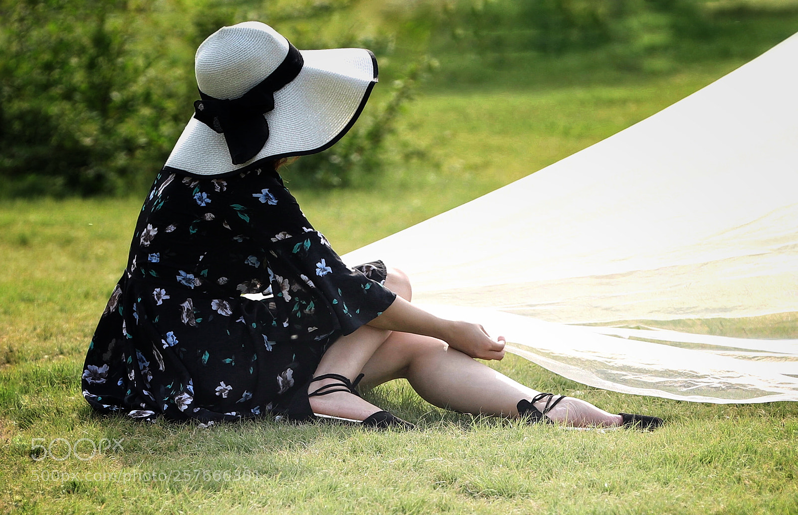 Canon EOS 6D Mark II sample photo. 草地 photography