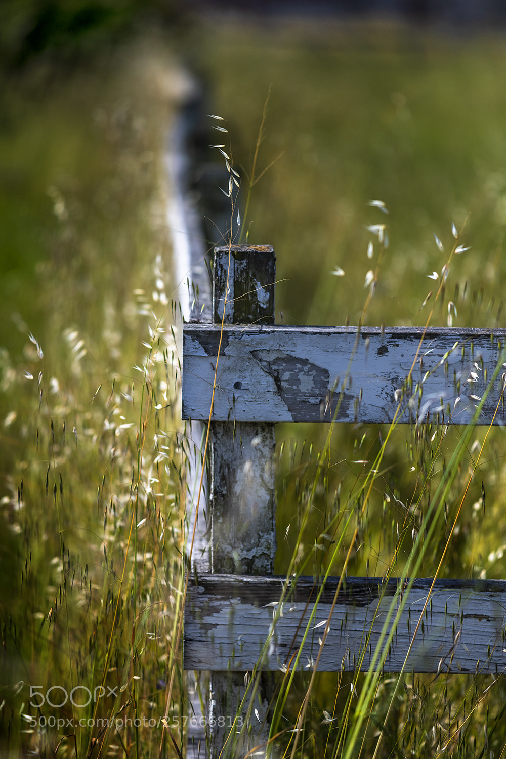 Nikon D850 sample photo. Old fence roberts rd photography