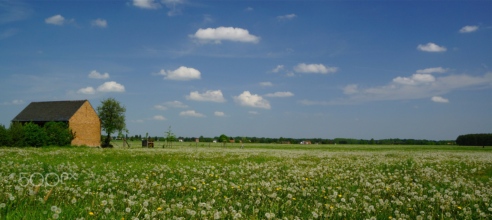 Sony SLT-A65 (SLT-A65V) sample photo. Frühlingszeit/springtime in germany photography