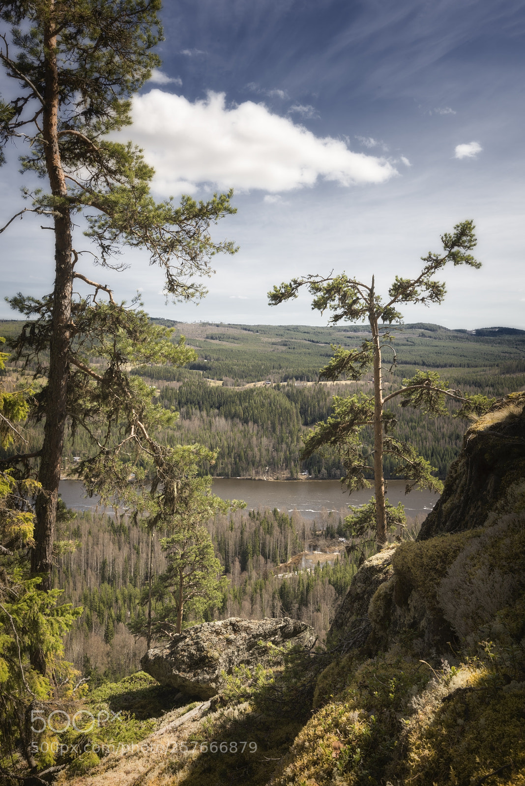 Nikon D810 sample photo. Mountain, forest, river landscape photography