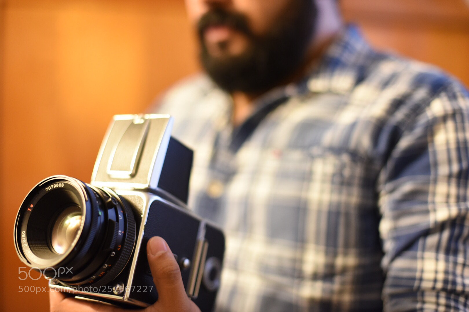 Nikon D750 sample photo. Untitled photography
