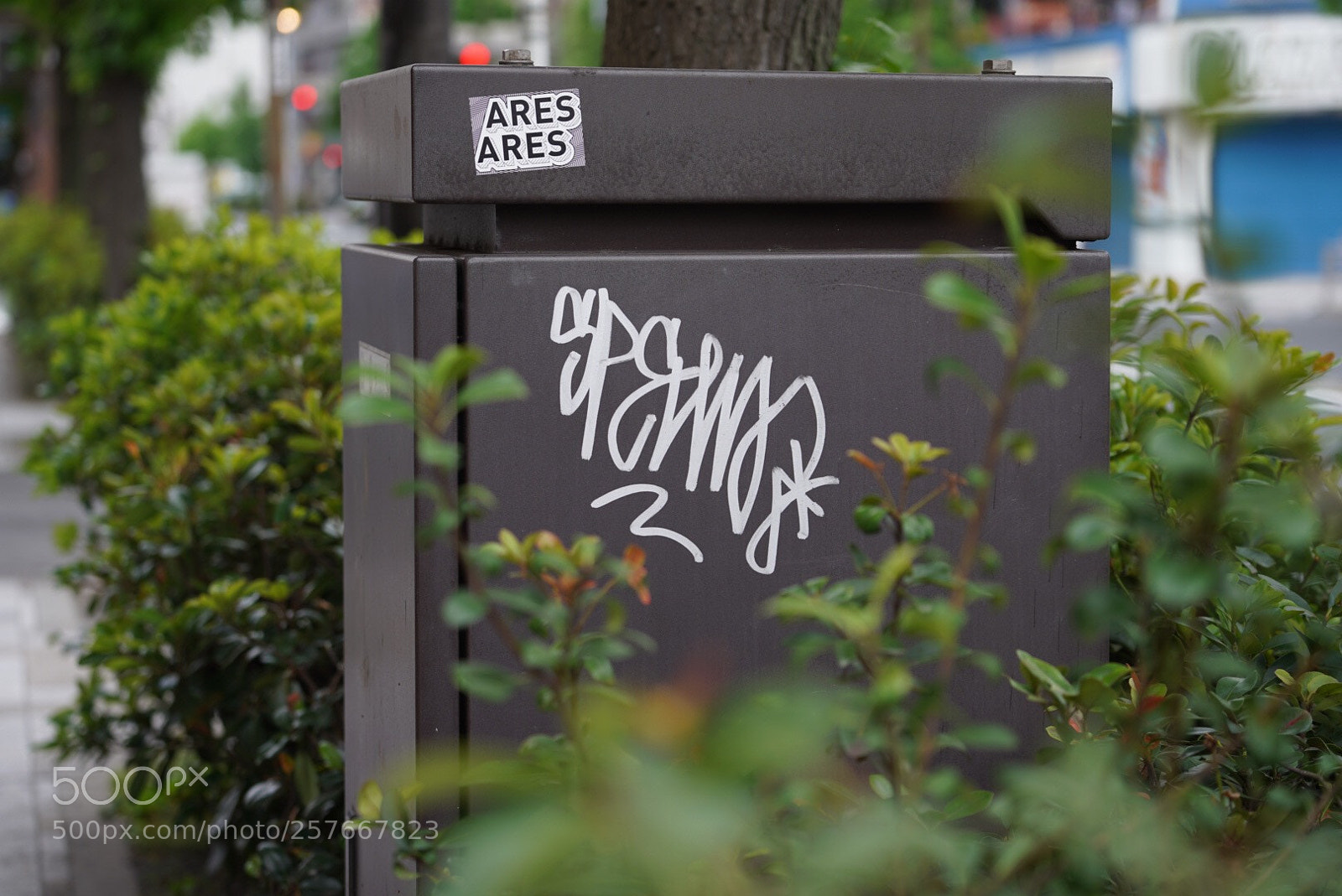 Sony a7 III sample photo. Untitled photography