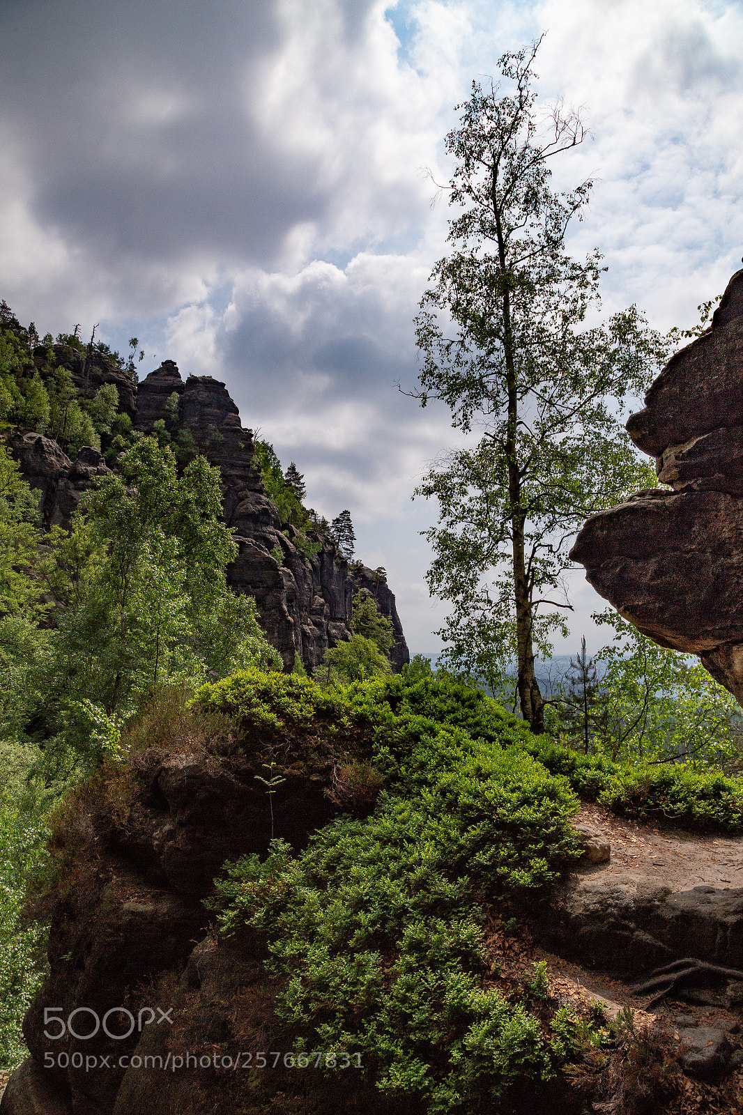 Canon EOS 6D sample photo. Rocks and a tree photography