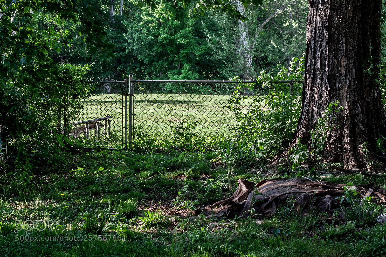 Canon EOS 50D sample photo. Childhood backyard photography