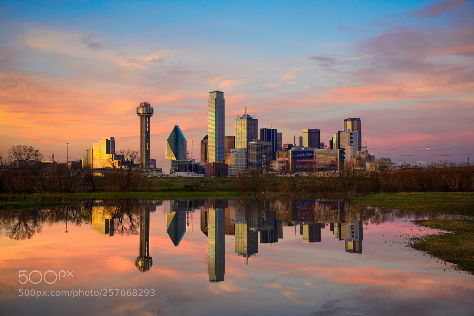 Nikon D610 sample photo. Reflection of downtown dallas photography