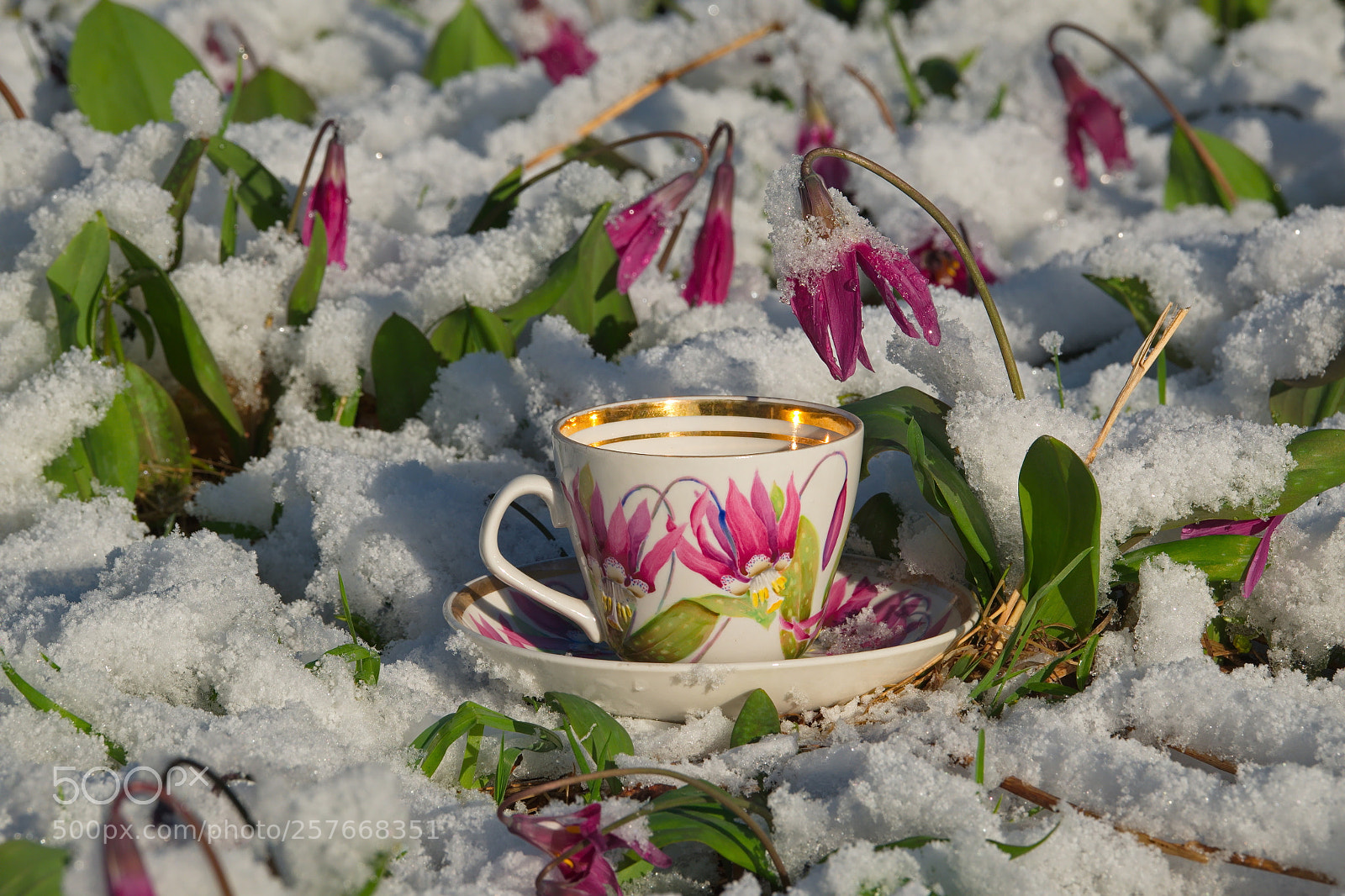 Fujifilm X-T1 sample photo. Russia. the south of photography