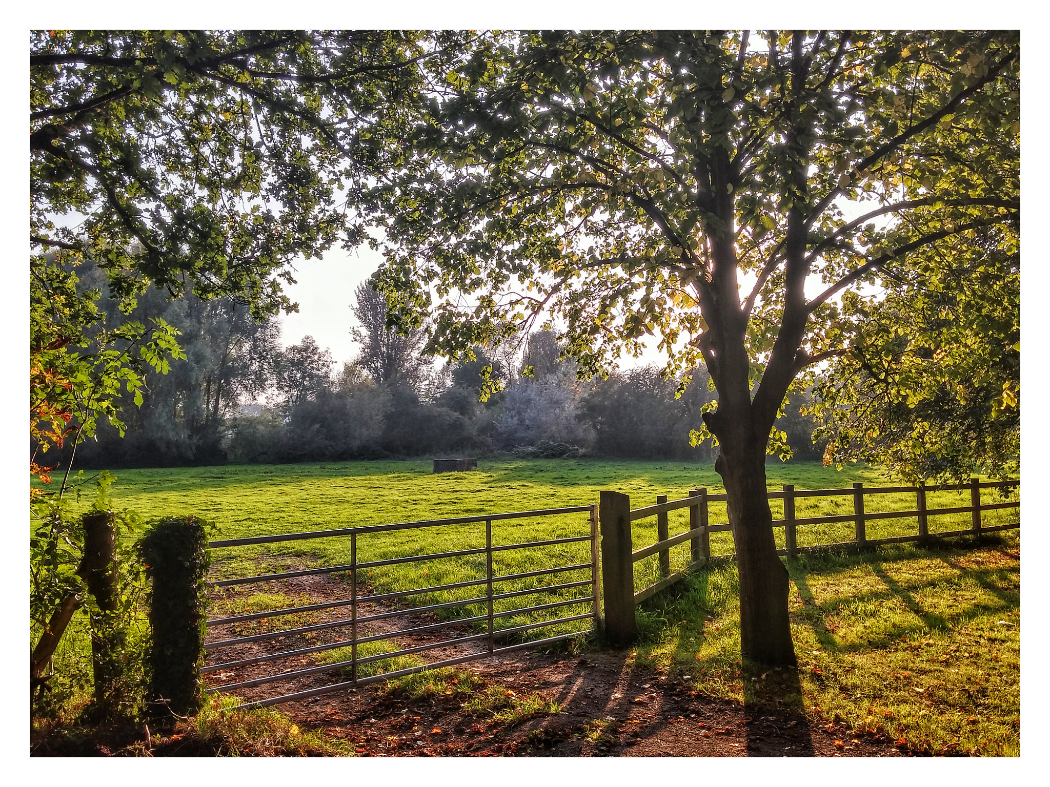 LG G3 sample photo. Green sunset photography