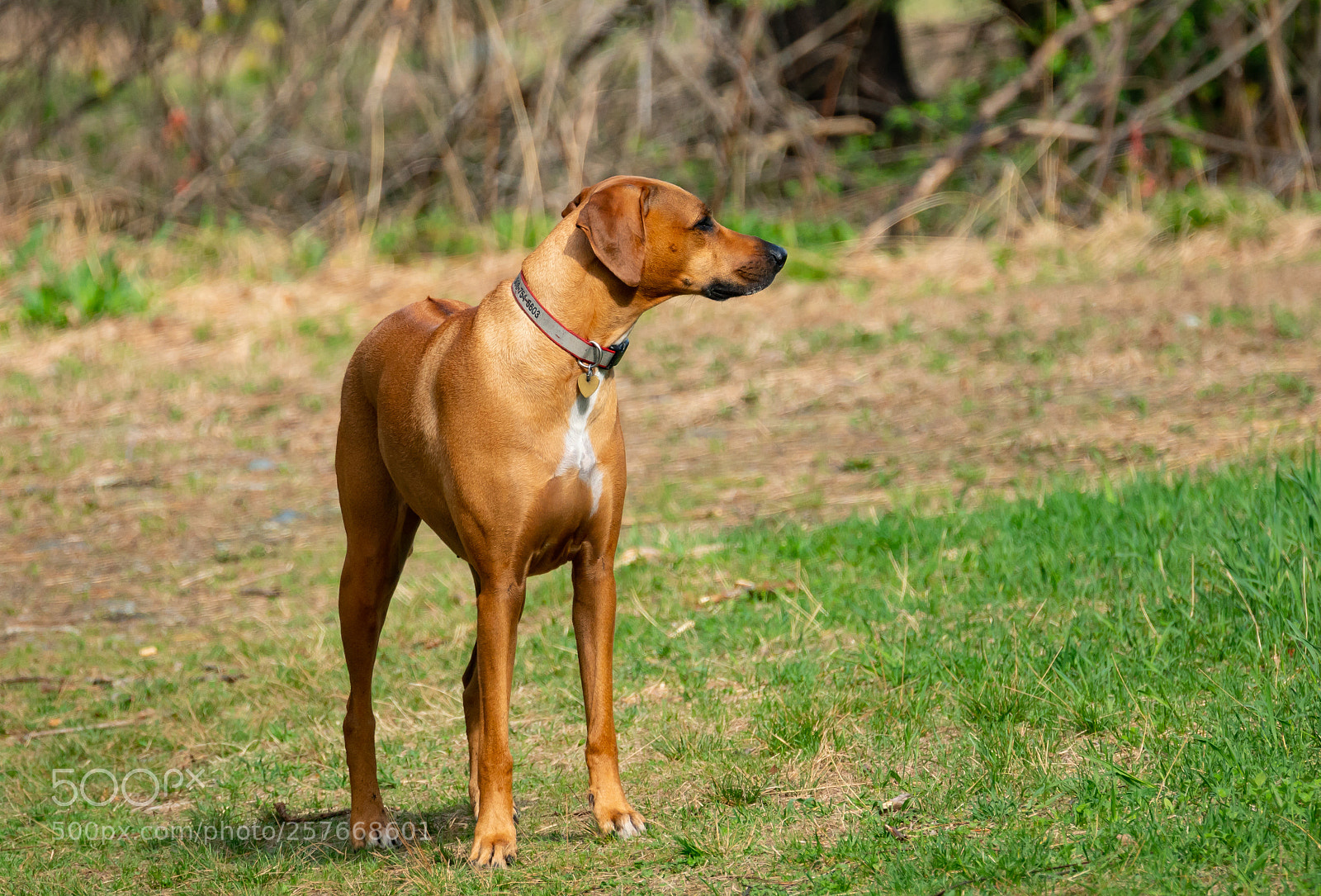 Sony a6300 sample photo. Wpm photography