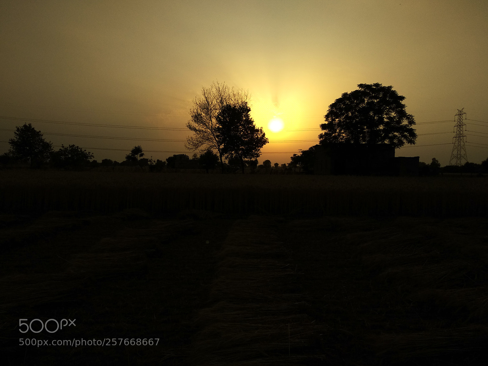 Xiaomi Redmi Note 5 sample photo. Hdr photography