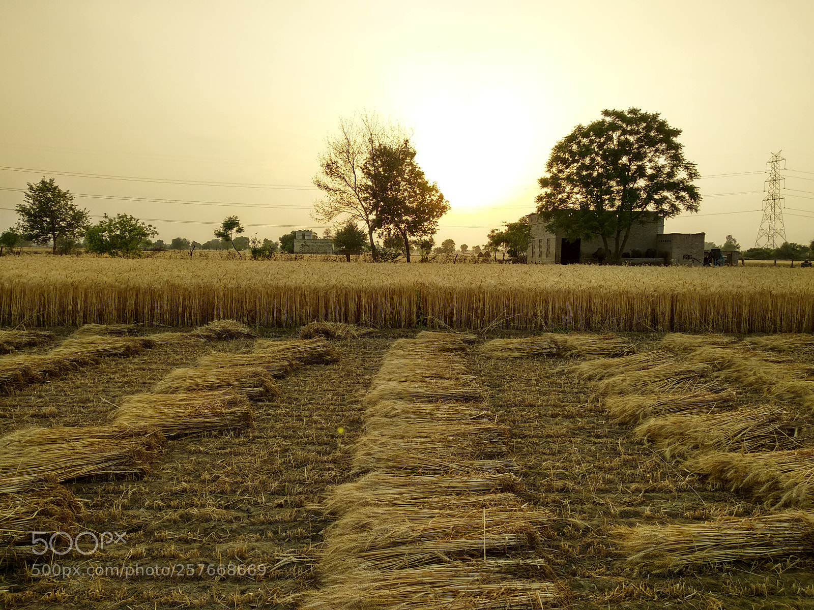 Xiaomi Redmi Note 5 sample photo. Hdr photography