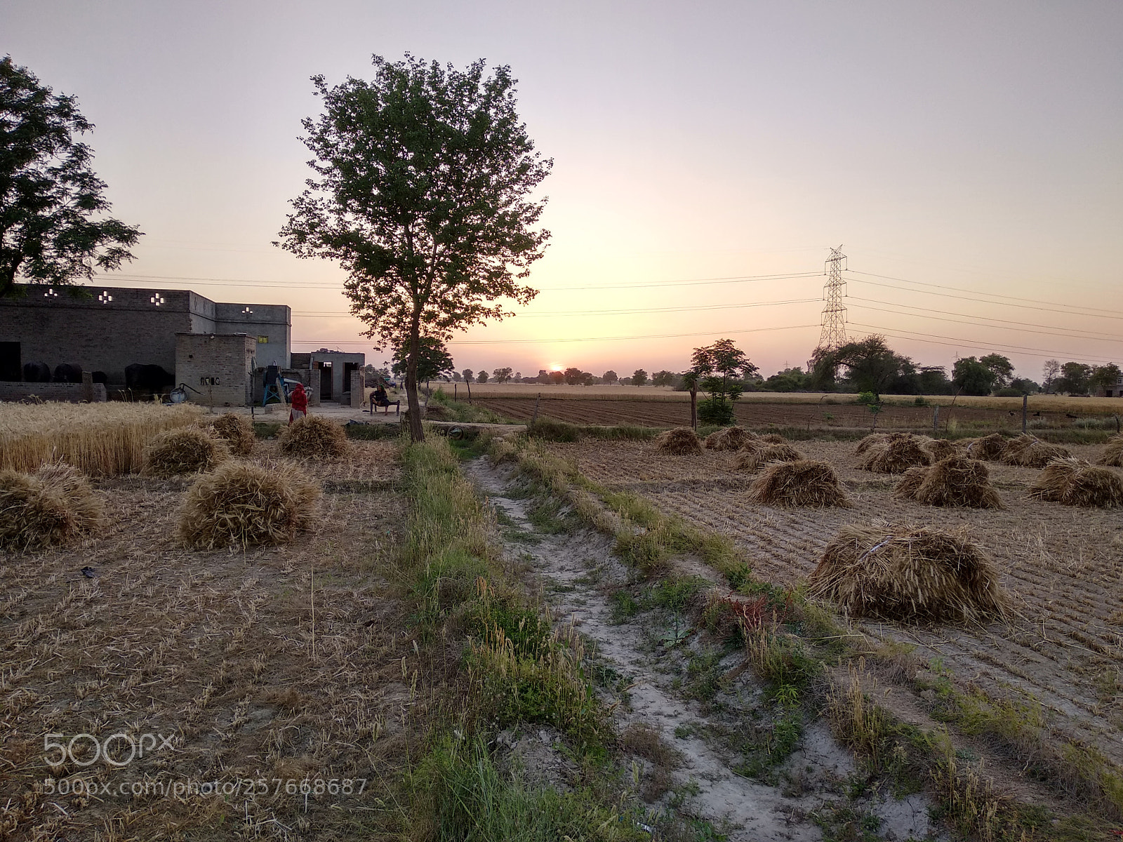 Xiaomi Redmi Note 5 sample photo. Hdr photography