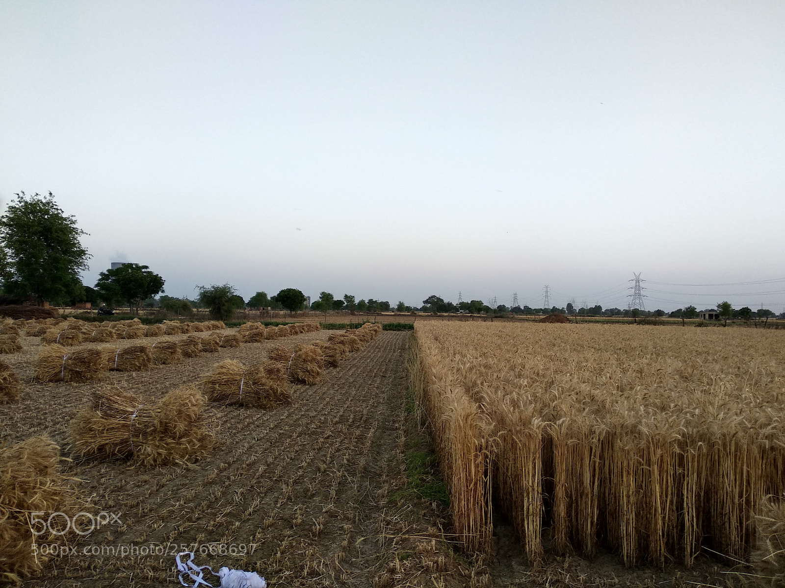Xiaomi Redmi Note 5 sample photo. Hdr photography