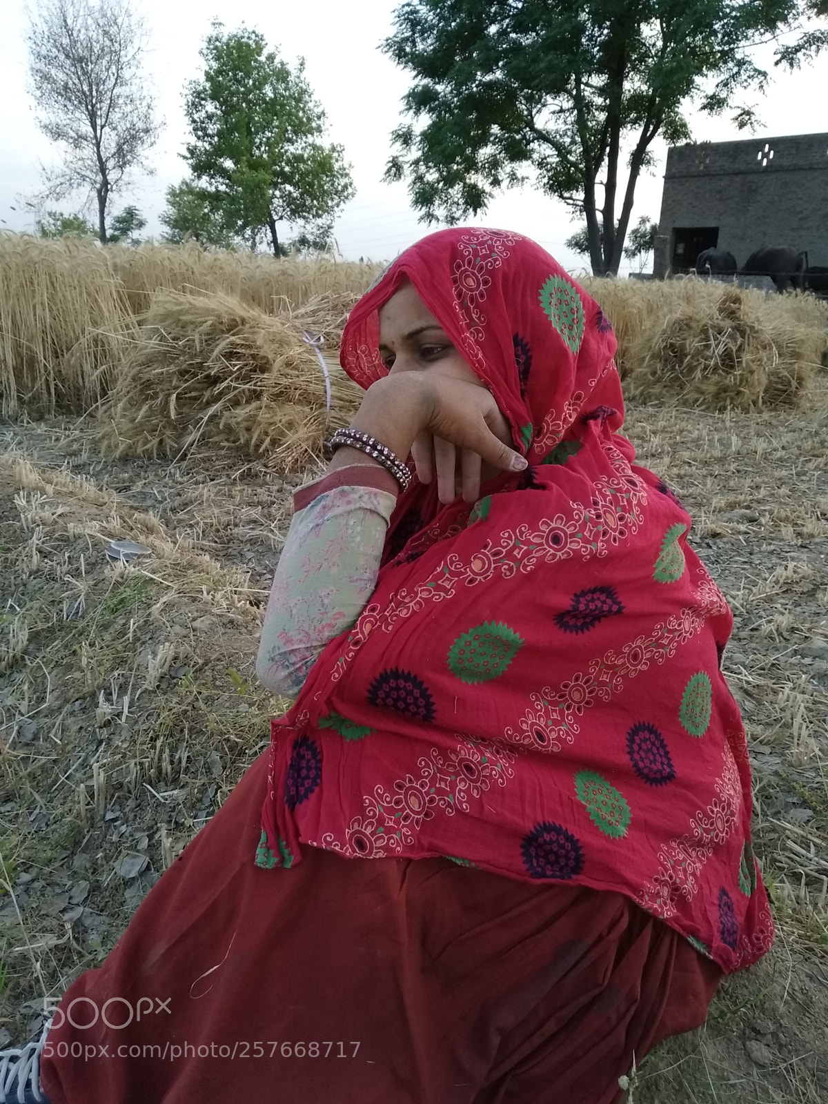 Xiaomi Redmi Note 5 sample photo. Img_20180413_183950.jpg photography