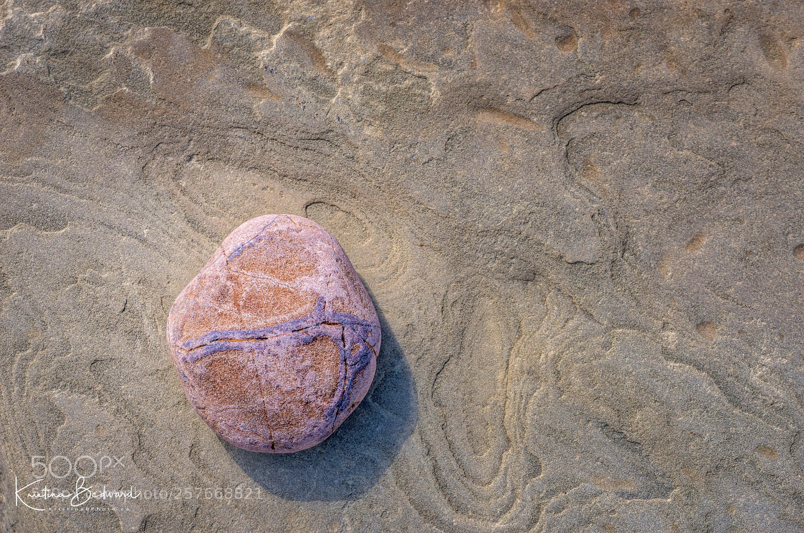 Nikon D810 sample photo. Texture  photography