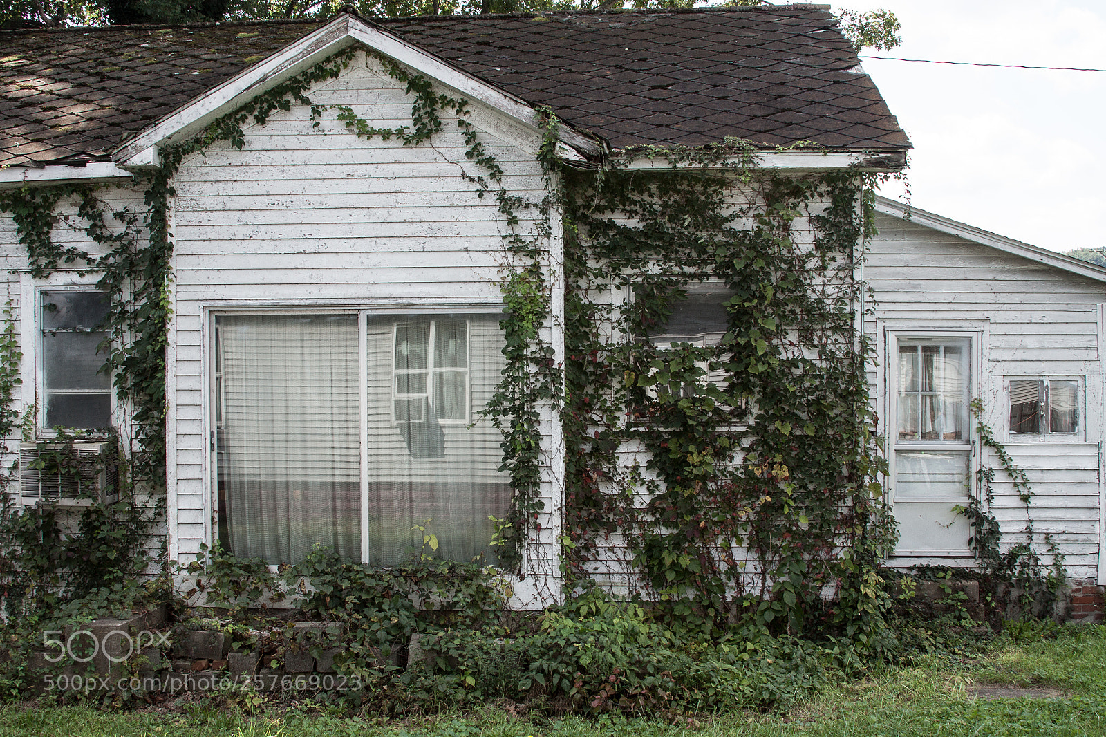 Canon EOS 50D sample photo. Old neighbors photography