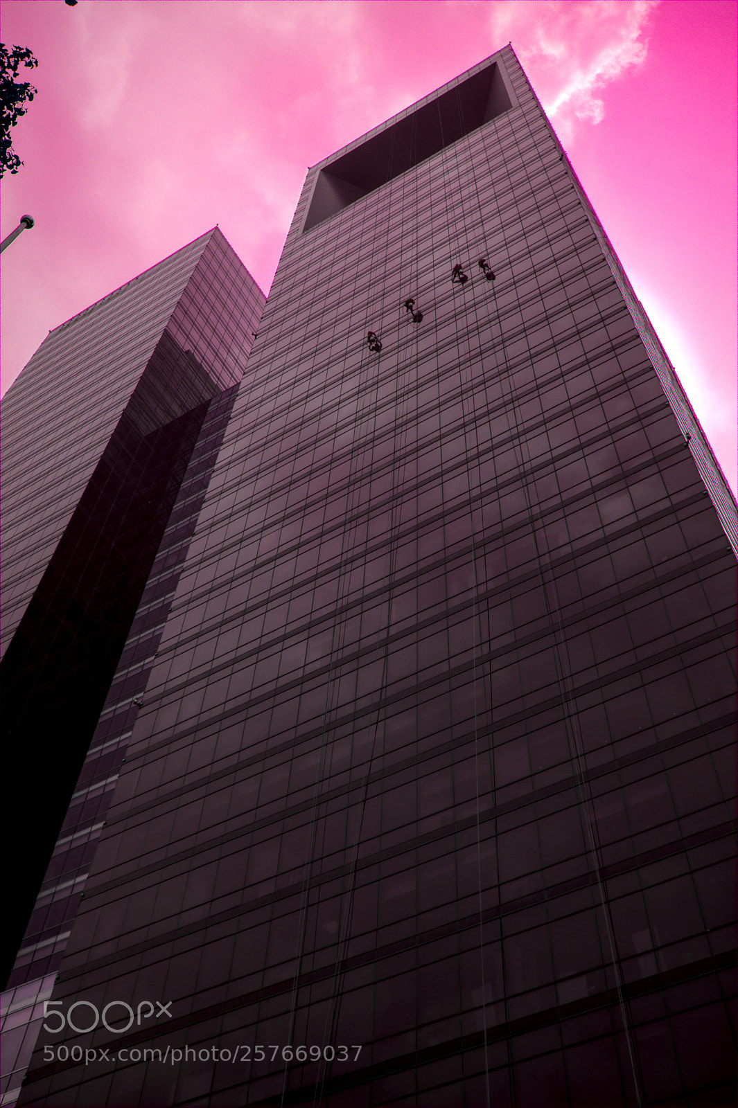 Fujifilm X100F sample photo. Spidermen photography